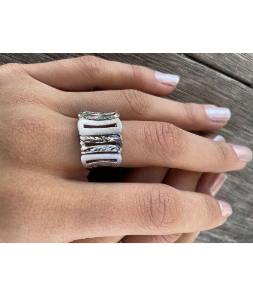 Anillo de Plata Panteón