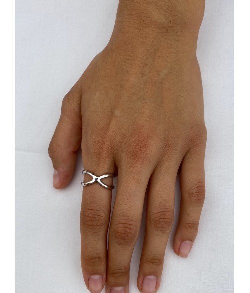 Anillo Equis