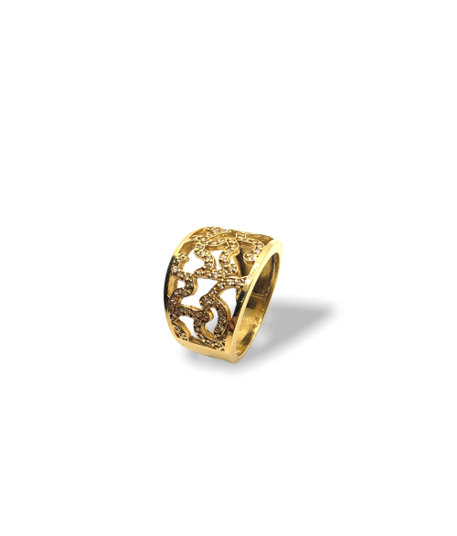 ANILLO RAÍCES