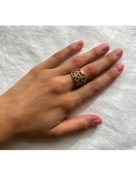ANILLO RAÍCES