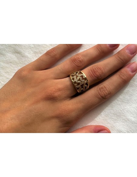 ANILLO RAÍCES