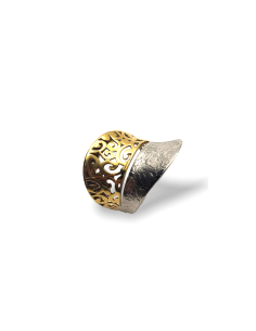 ANILLO DUALITY