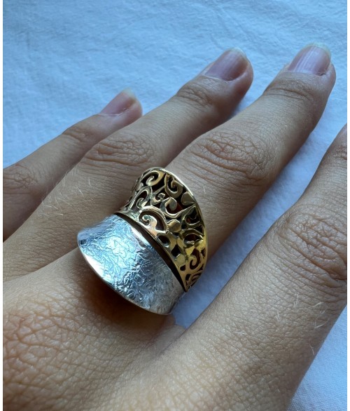 ANILLO DUALITY