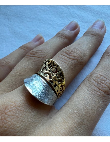 ANILLO DUALITY
