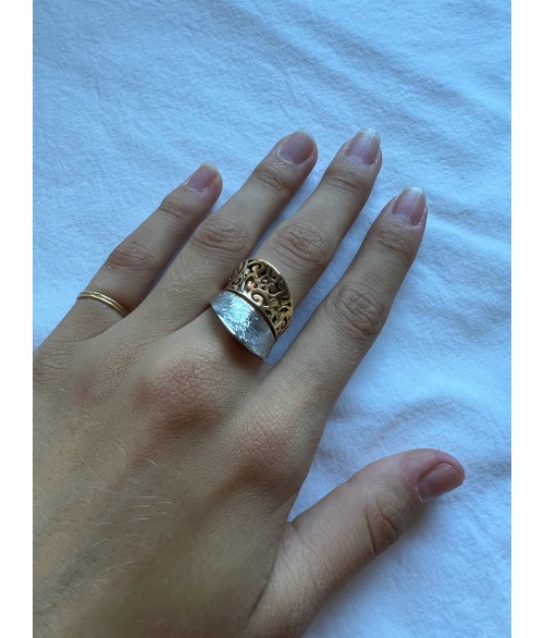 ANILLO DUALITY
