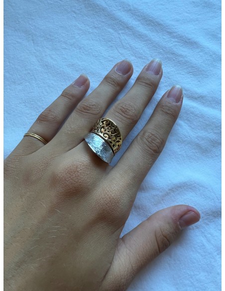 ANILLO DUALITY