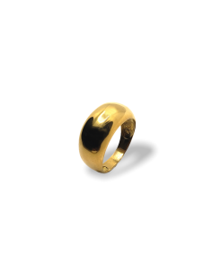 ANILLO CURVO