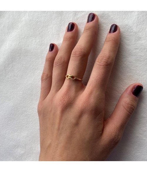 ANILLO INFI