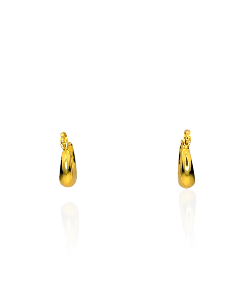 PENDIENTES ERA