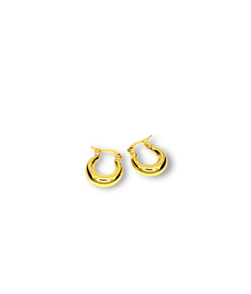 PENDIENTES ERA