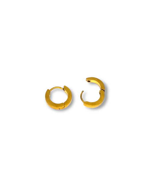 PENDIENTES CIARA