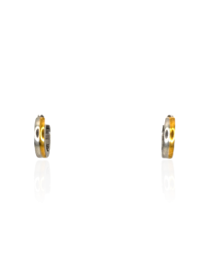 PENDIENTES AROBI