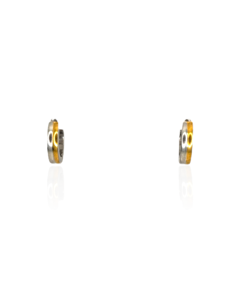PENDIENTES AROBI