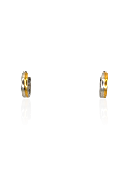 PENDIENTES AROBI