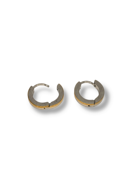 PENDIENTES AROBI